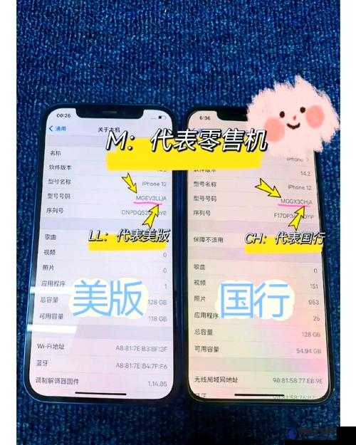 990v6 美版与亚洲版区别大揭秘:你必须知道的几点