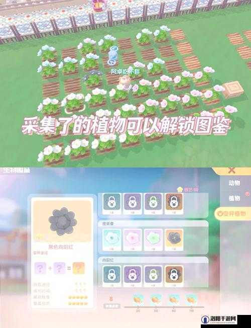 摩尔庄园手游,化肥获取全攻略,助你农耕加速