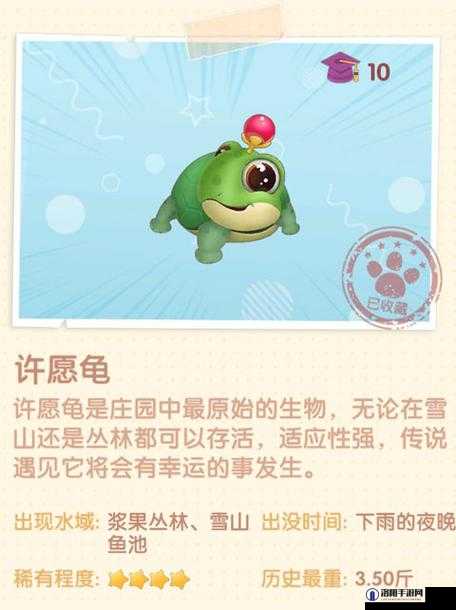 摩尔庄园许愿龟有什么用