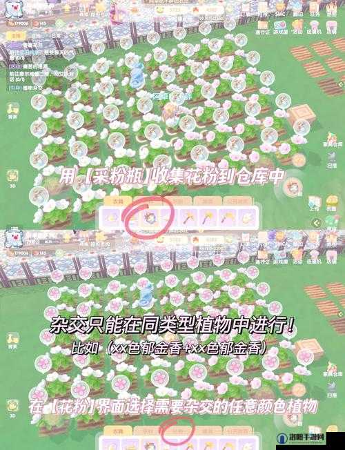 摩尔庄园手游菜地移除全攻略