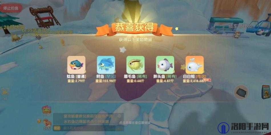 摩尔庄园白鲸垂钓指南，探寻白鲸的踪迹与垂钓技巧