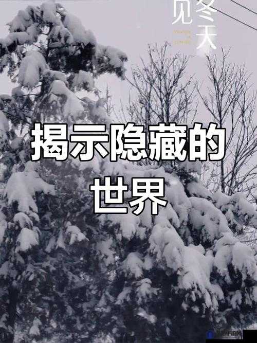 98 精产国品一二三产区区：探索未知的神秘领域