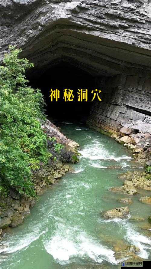 探究大坤巴塞洞:神秘的洞穴奇观与未解之谜