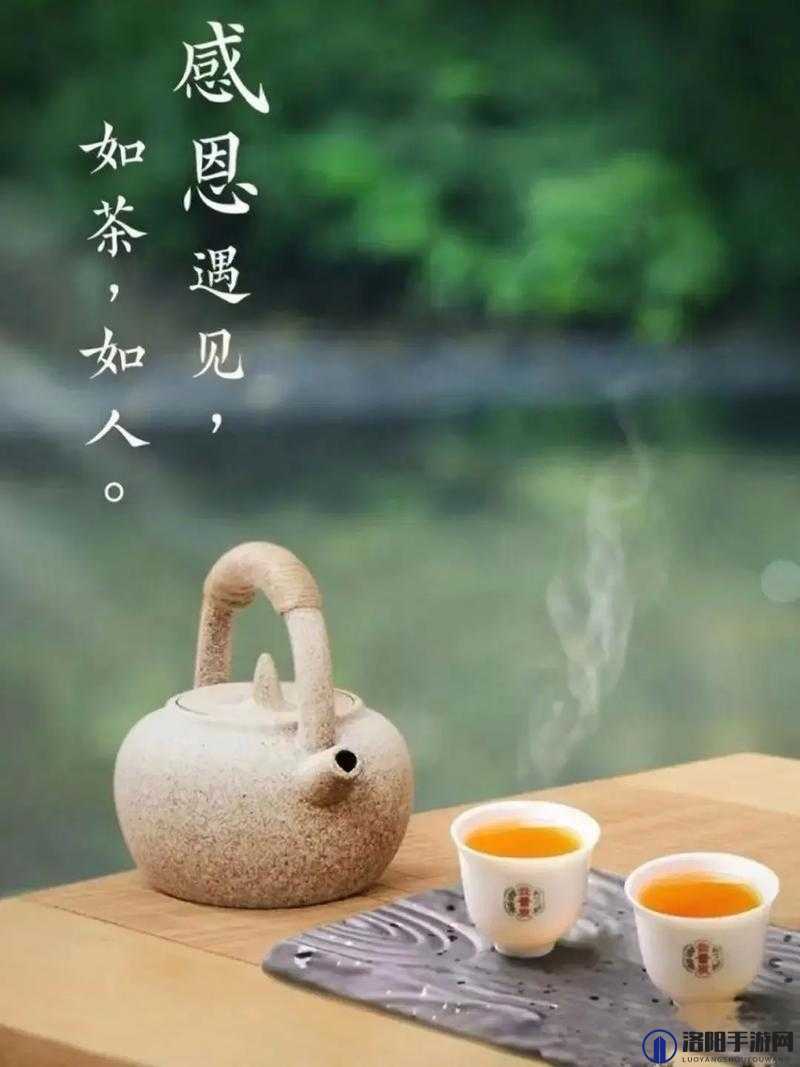 500 一晚同城约茶：共赴一场温馨惬意的茶会时光