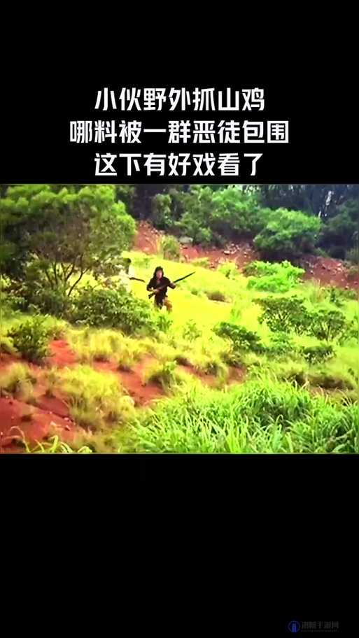 今天高清视频在线观看：海量精彩内容等你发现