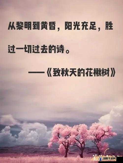 从黄昏到黎明:微潮晨昏下的情感纠葛