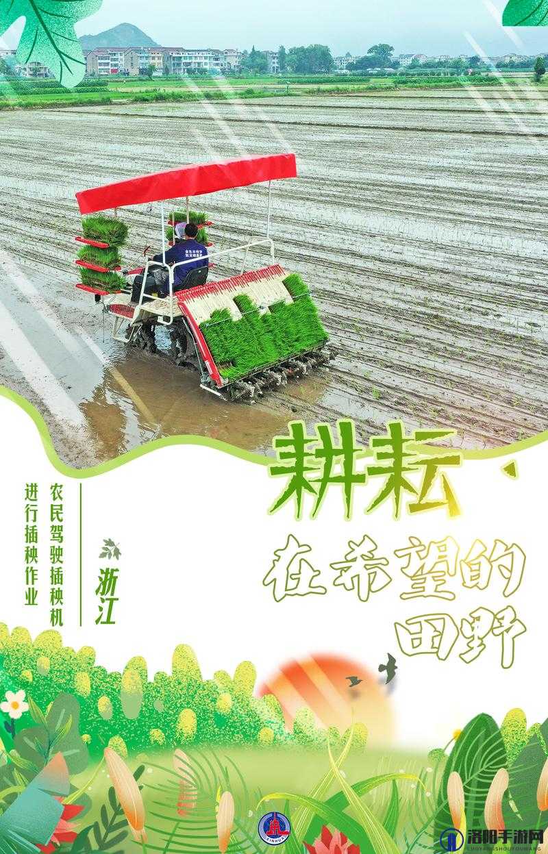 耕种妈妈那片肥沃土地的辛勤劳作与收获