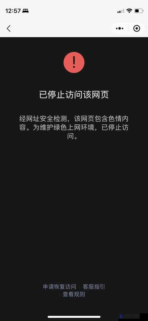 哪个浏览器可以看禁止访问的网站：探索背后的秘密与风险