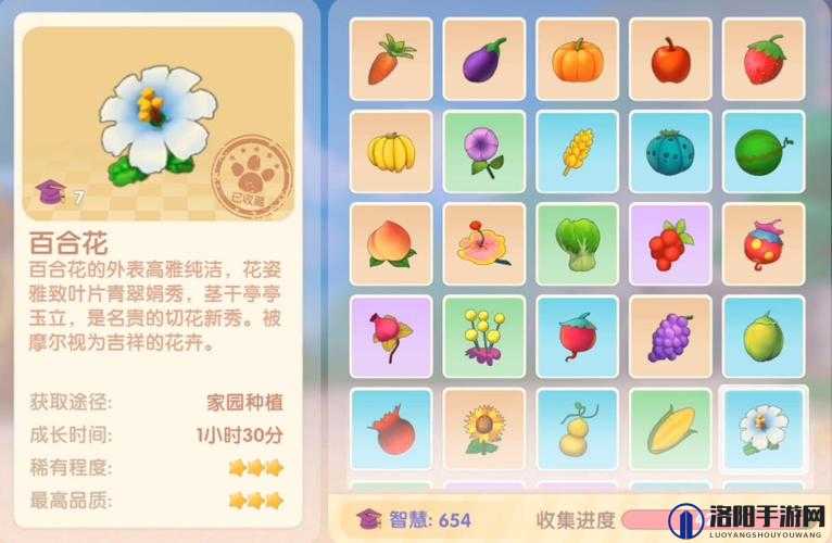 摩尔庄园手游百合花种子怎么得，百合花种子获取攻略