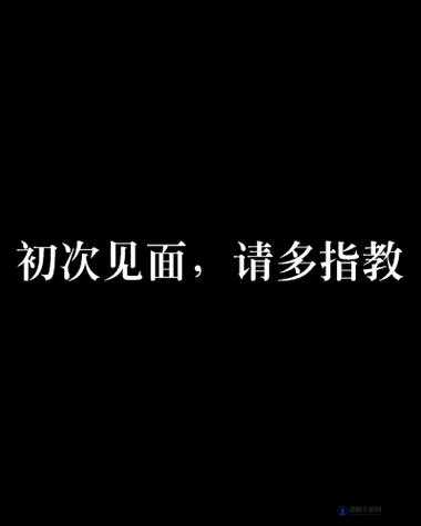 初次深交流请多指教第二话是什么-关于其背后意义的探讨