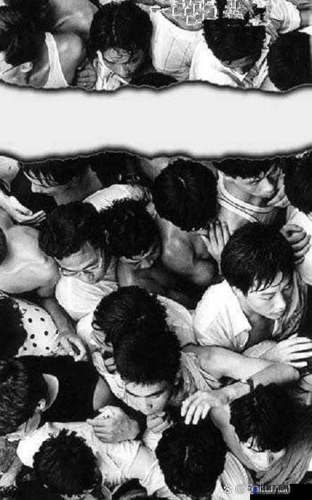 五十人群体交乱事件引发的混乱场景探讨