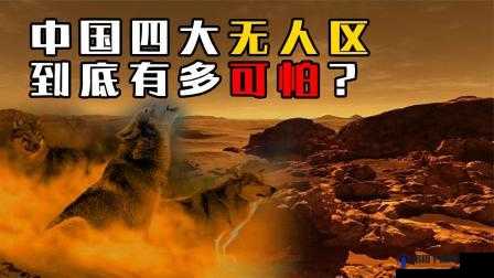 亚洲乱码无人区卡 1 卡 2 卡 3:探险者的噩梦还是宝藏之地?