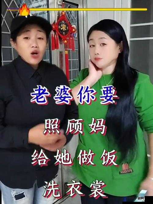 几个老婆婆的 BGM 视频：展现岁月沉淀的独特魅力与故事