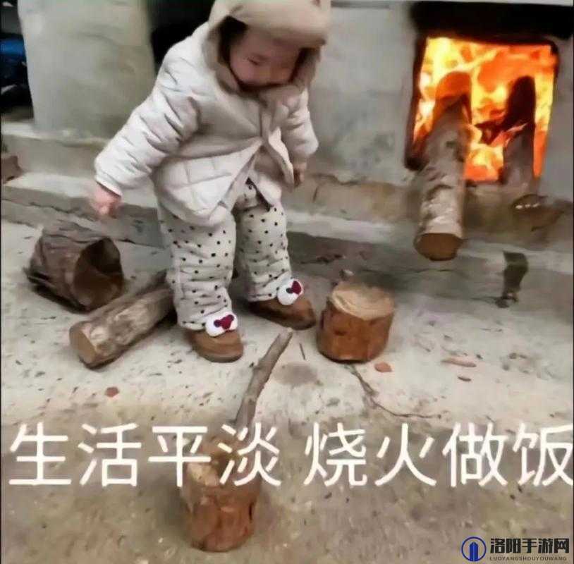 一边做饭一边躁狂我:生活中的独特情绪体验与日常景象