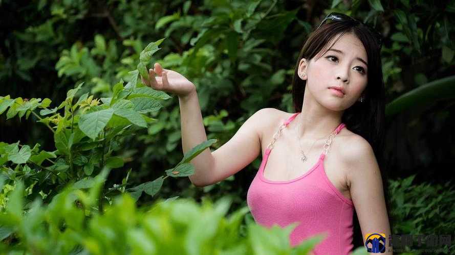 GOGOGO 高清视频大全：涵盖丰富多样精彩视频内容宝库