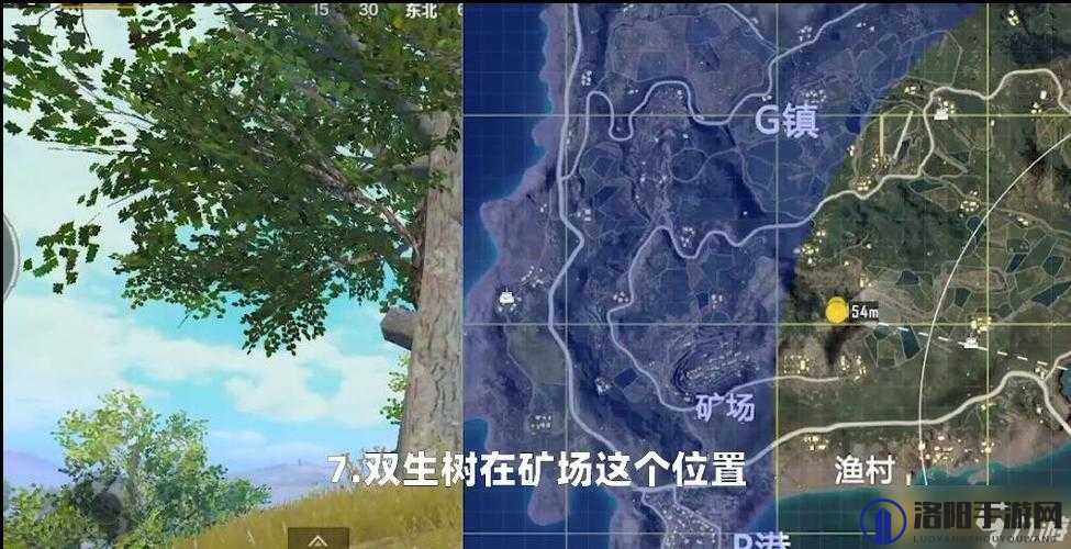 和平精英矿场打卡点揭秘，双生树位置全攻略