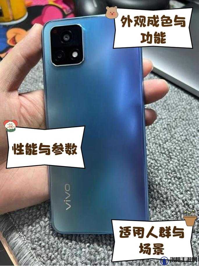 成色好的 Y31S 标准版下载：畅享高速稳定的下载体验