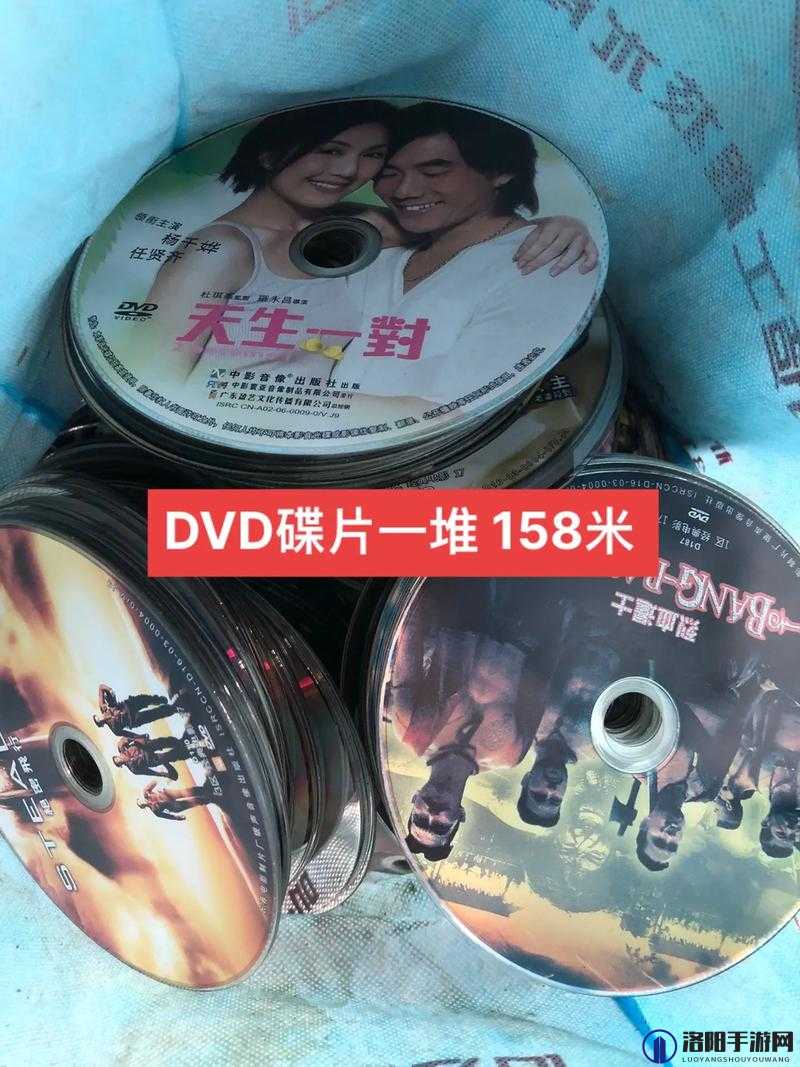 高清 DVD 碟片生活片:展现真实生活的精彩瞬间