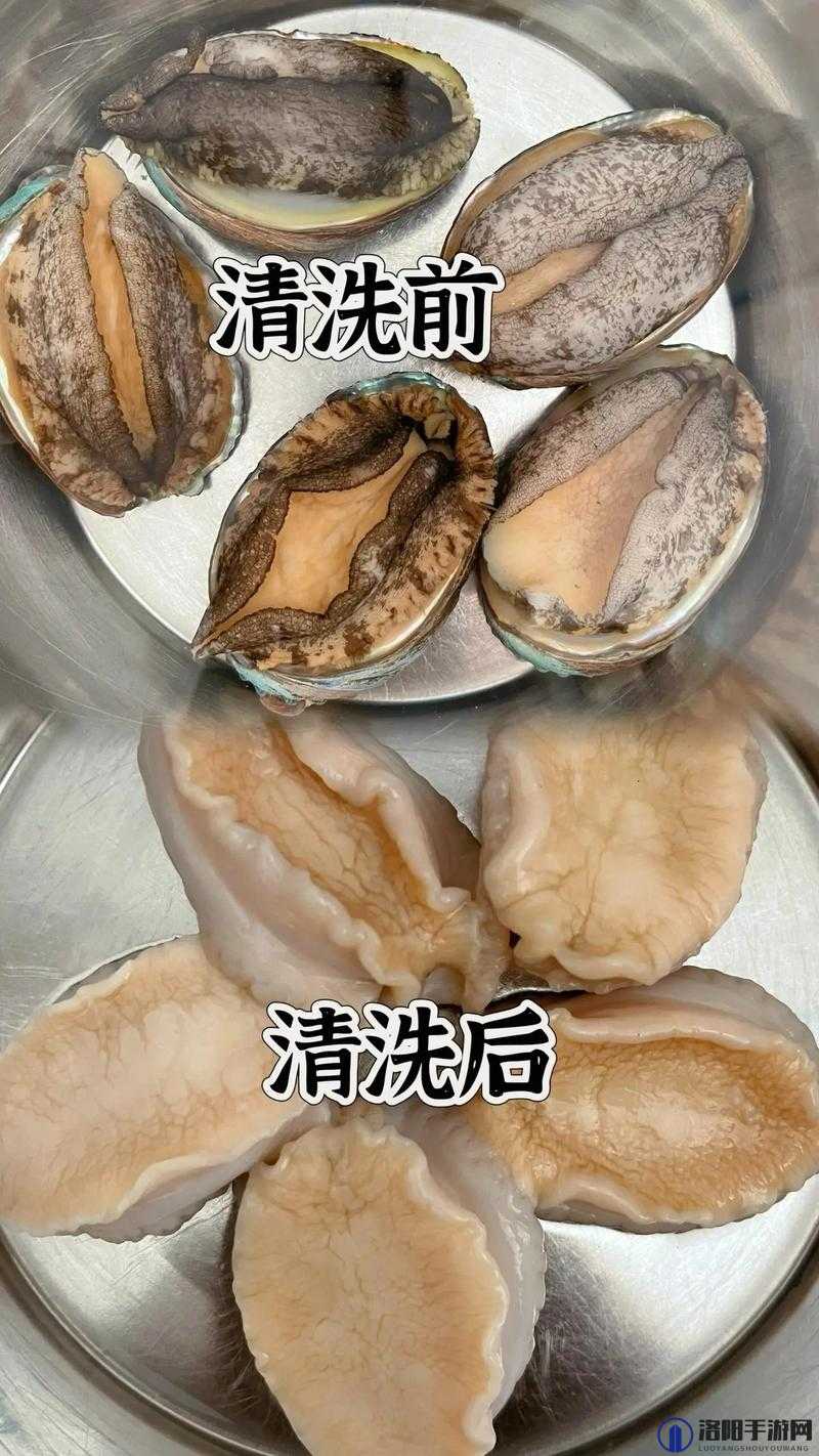 鲍鱼直播：带你领略美味鲍鱼背后的精彩故事