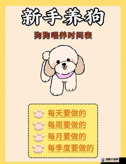 女狗出街任务表：为狗狗出行做好全面准备