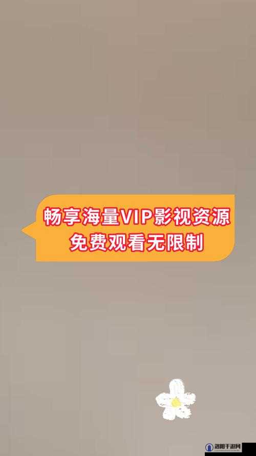 黄网站在线观看：畅享无尽精彩影视资源