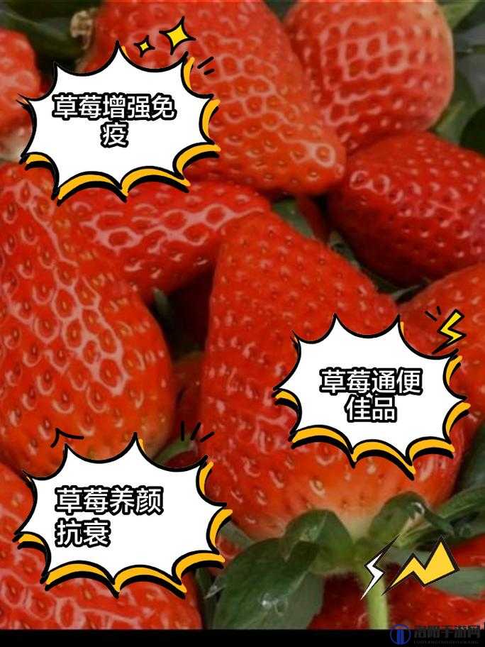 未满十八禁看：草莓视频的禁忌与诱惑