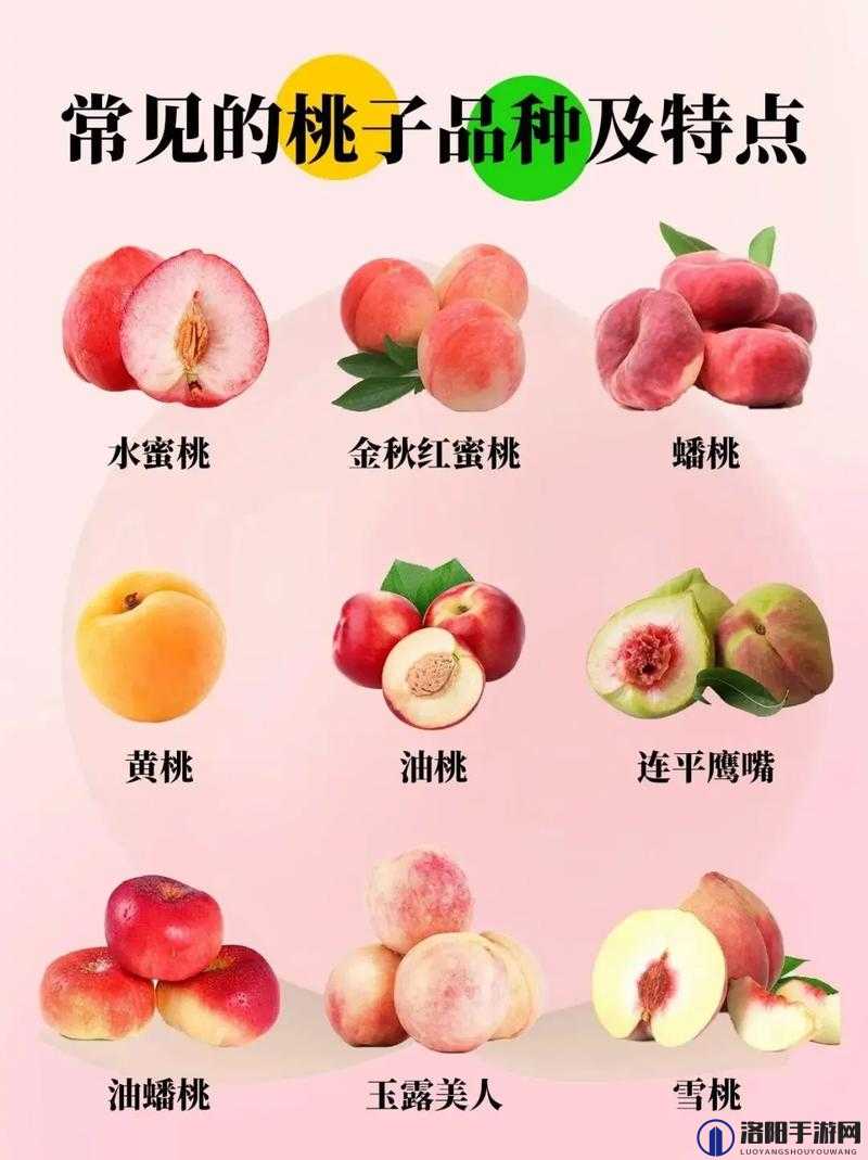 水蜜桃一卡 2 卡 3 卡 4 卡：甜蜜多汁的水果之选