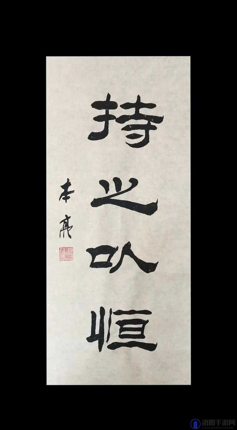 持之以恒坚持不懈久久为功：努力成就美好未来