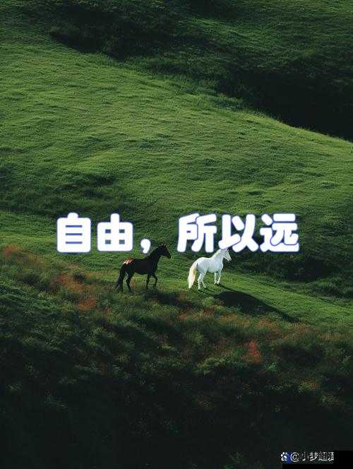 无出入限制:畅享自由无阻的广阔空间