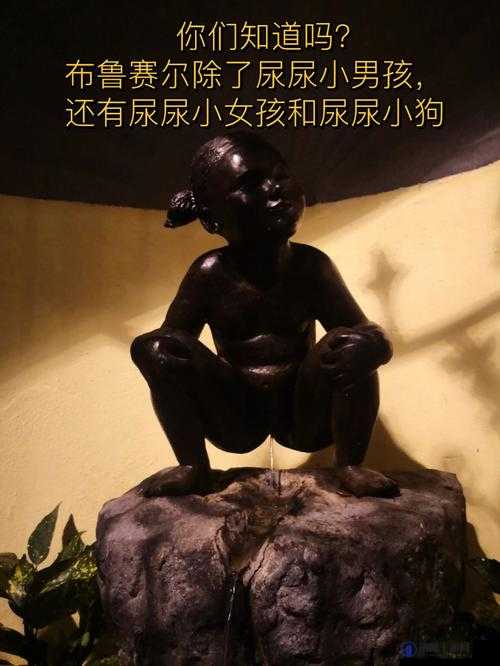 关于 xxxxhd 尿尿露毛合集的精彩内容呈现