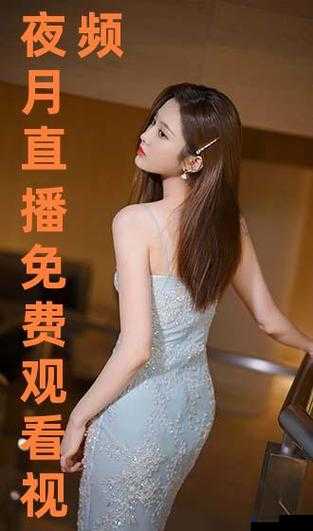 月夜直播免费看：带来精彩绝伦的视觉盛宴