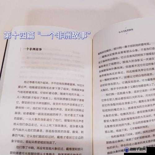 非洲妓女 BBWBBBW 的特殊经历与故事