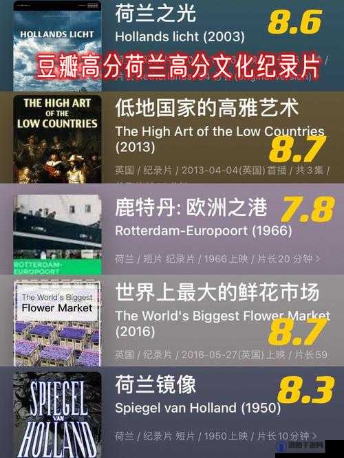 关于 gooWon 荷兰的独特探索与发现
