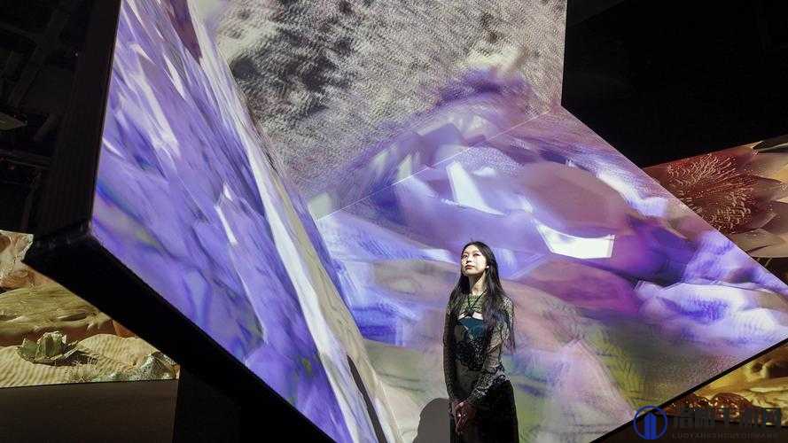 中国 XXXXXL19 免费视频：震撼视觉盛宴不容错过