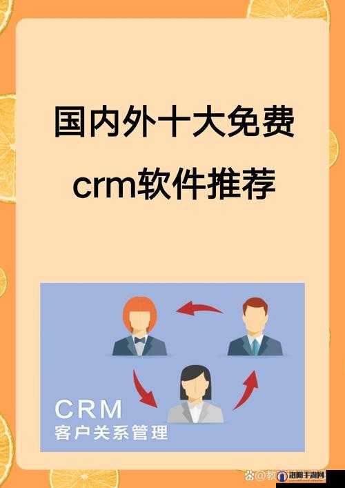 成年人永久免费 CRM：打造高效客户关系管理的最佳选择