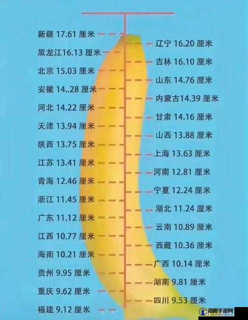17 厘米究竟是什么意思呢——探寻 17cm 的奥秘