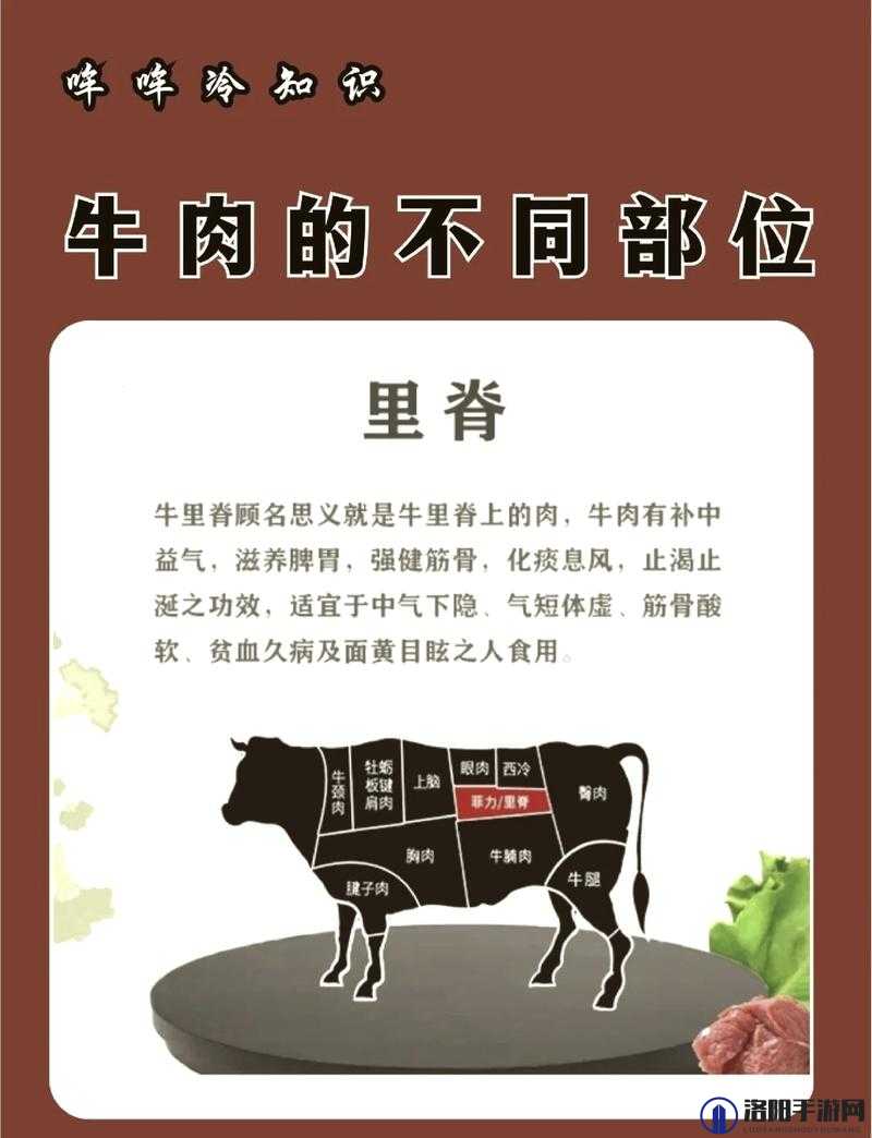 探索老牛嫩草一二三产品具体区别分析