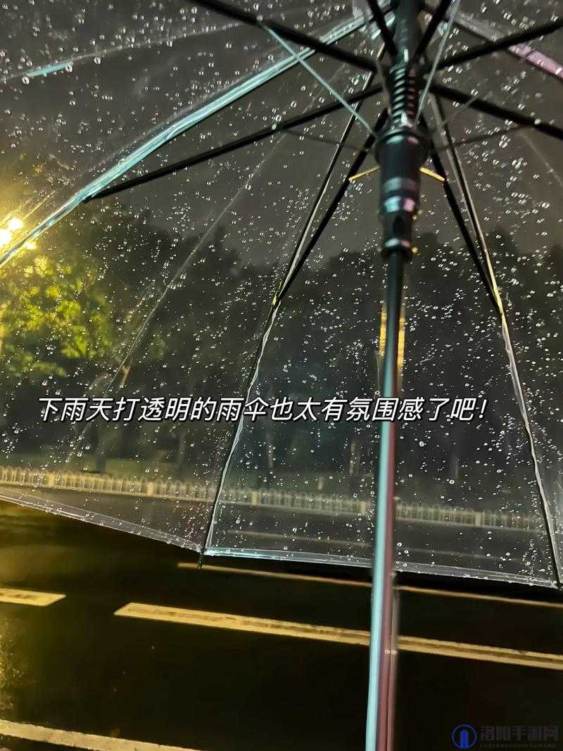 晚上竟弄了好几个小雨伞着实令人意外呀