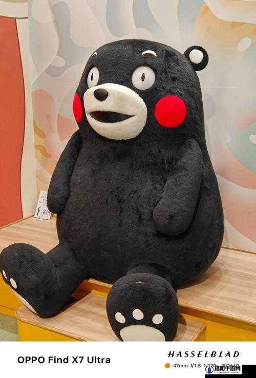小森生活奇遇，与村长和熊本熊的拍照大冒险