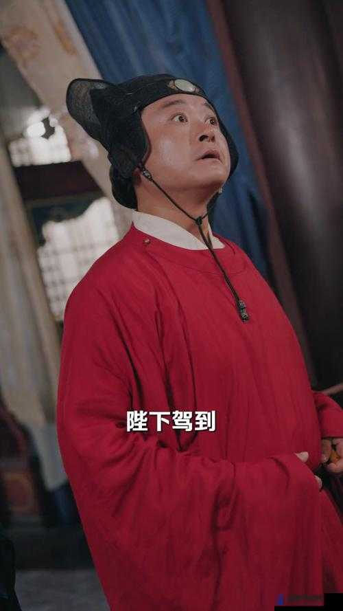权臣 hlH 将军皇上：宫廷风云之权力纷争与情感纠葛