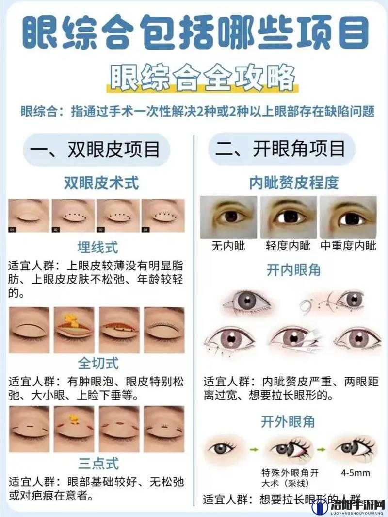 综合一和综合二图片区别在哪：深度解析与全面对比