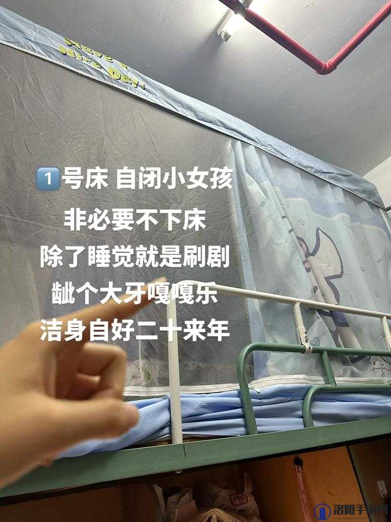 我是 1 但我的室友全是体育生:别样的寝室生活