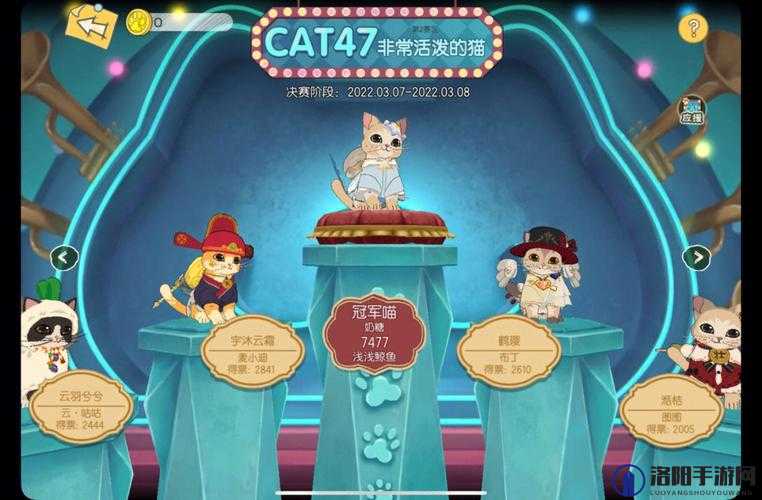 小森生活猫咪选美大赛全攻略，参赛步骤与丰厚奖励揭秘