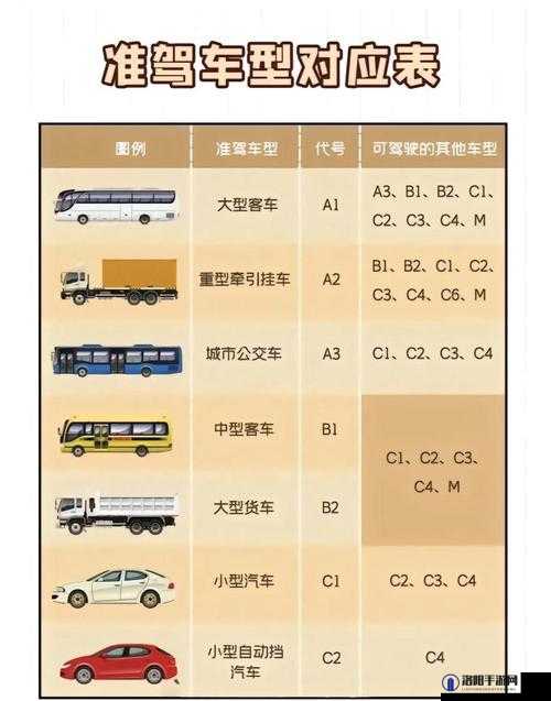 国产 A1a2a317c 最新使用攻略全解与实用技巧分享