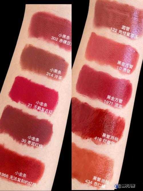 YSL 蜜桃棕调色与美妆：探索其独特魅力与多样应用