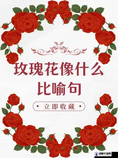 zw 时看的文案：走进独特视角下的精彩世界