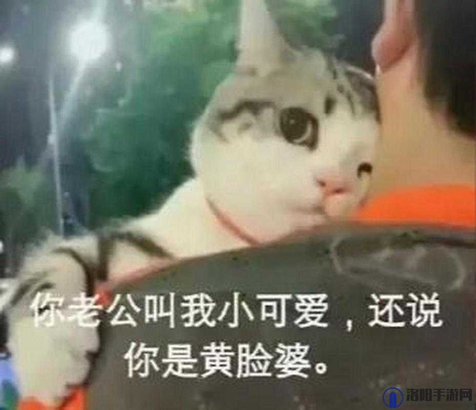 我妈叫我叫老公这可真是让人哭笑不得啊