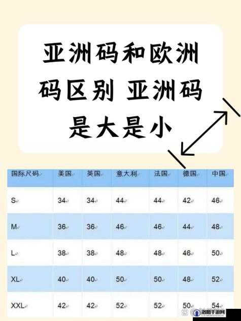 欧码 XL 实则为亚洲码：一种被忽视的尺码认知差异