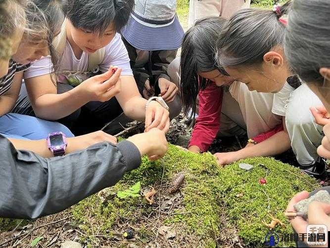 在野外用小雨伞拔萝卜好吗:一场奇妙的野外探险之旅