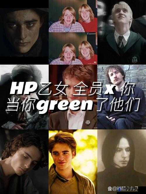 难以启齿的 HPO 背后的那些故事